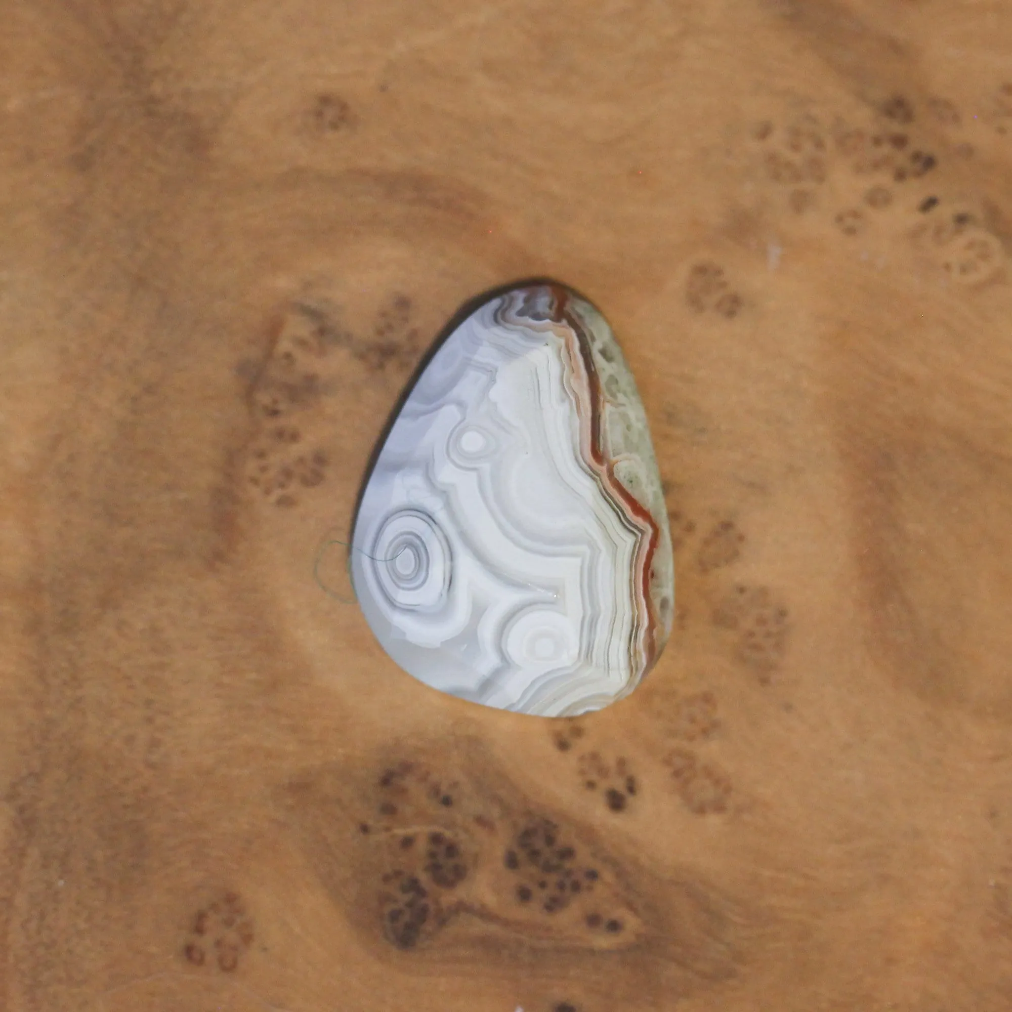 Rose Cut Laguna Lace Agate Pendant - Silversmith - .925 Sterling Silver - Laguna Agate Necklace